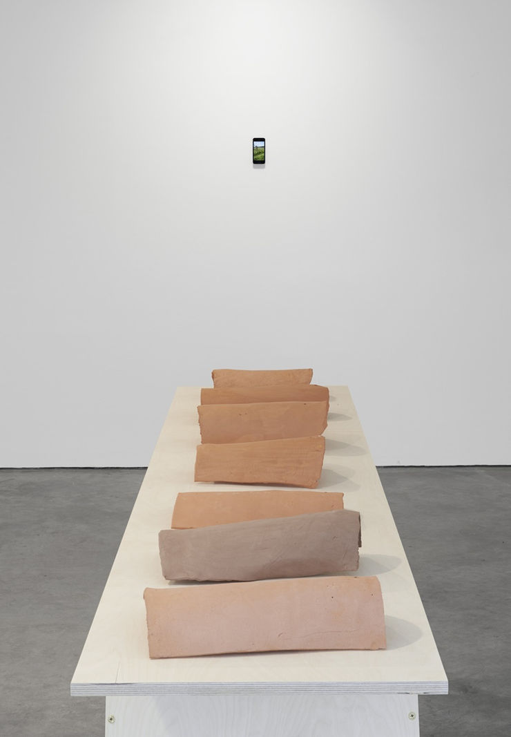 Muscular Notions 9 1200Px