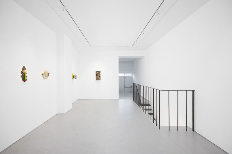 Cob Gallery Hog Installs 001