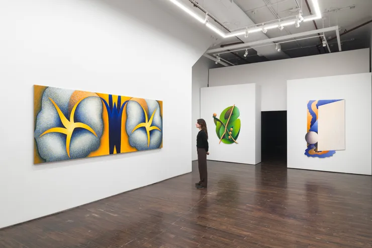 Jsp9126 Full Dp3 Credit Jsp Art Photography