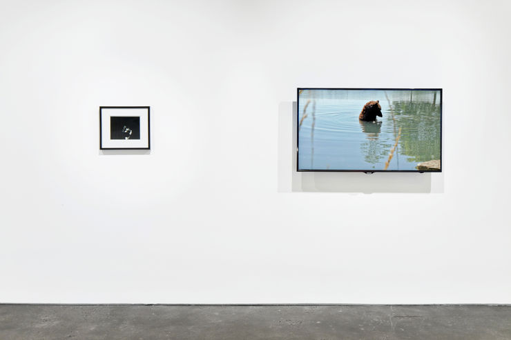 171 Muggenborg Tierney 09 04 18