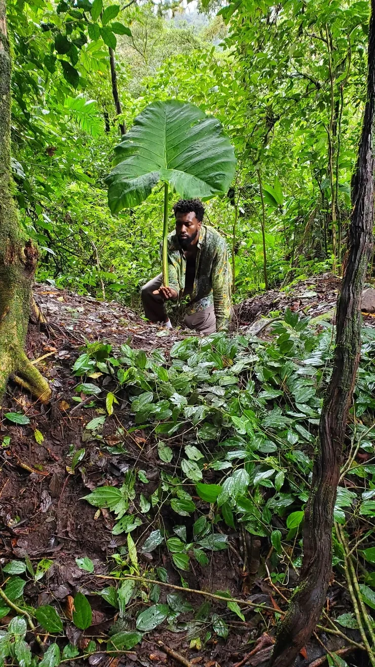 Janet Biggs - Seeing Constellations in the Darkness Between Stars, 2018