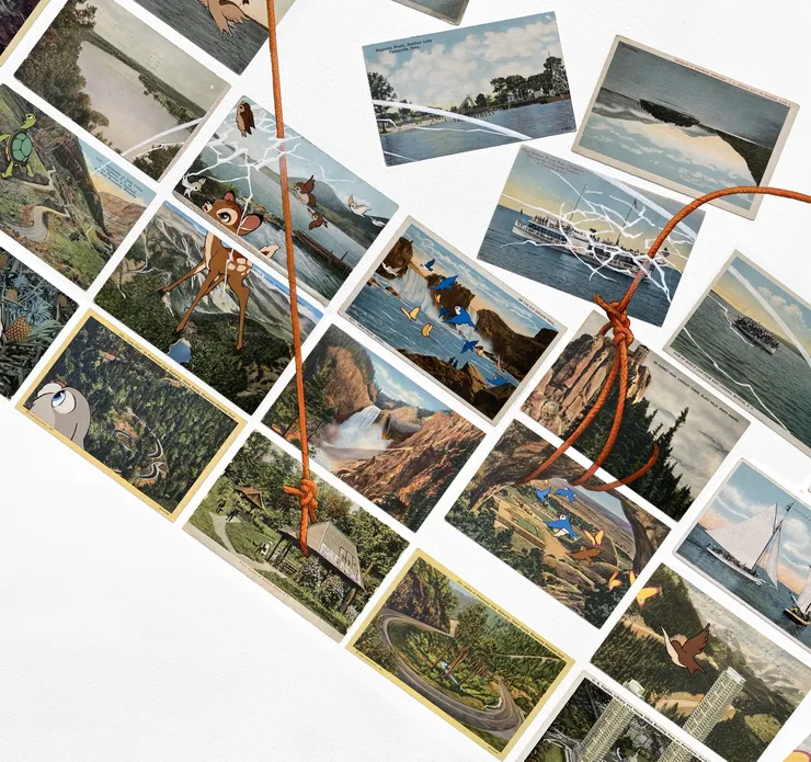 David Opdyke - Enough of Nature, 2025