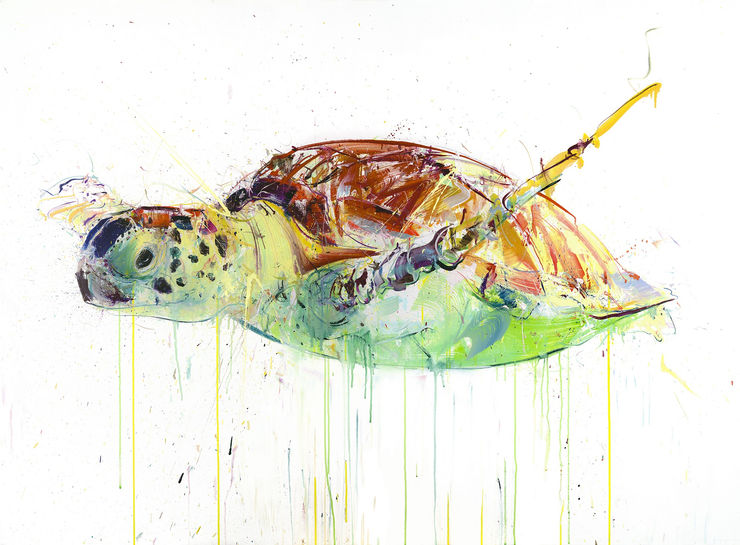 Sea Turtle I, 2017