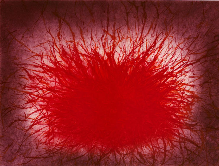 Anish Kapoor - Shadow III (Untitled 09), 2009