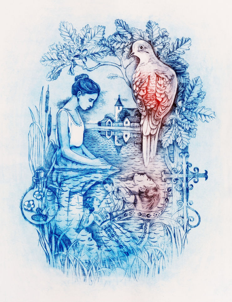 Míla Fürstová, The Wild Dove (Holoubek) , 2020