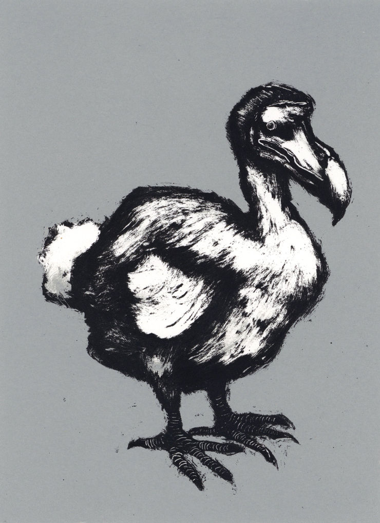 Mychael Barratt, Dodo I, 2022