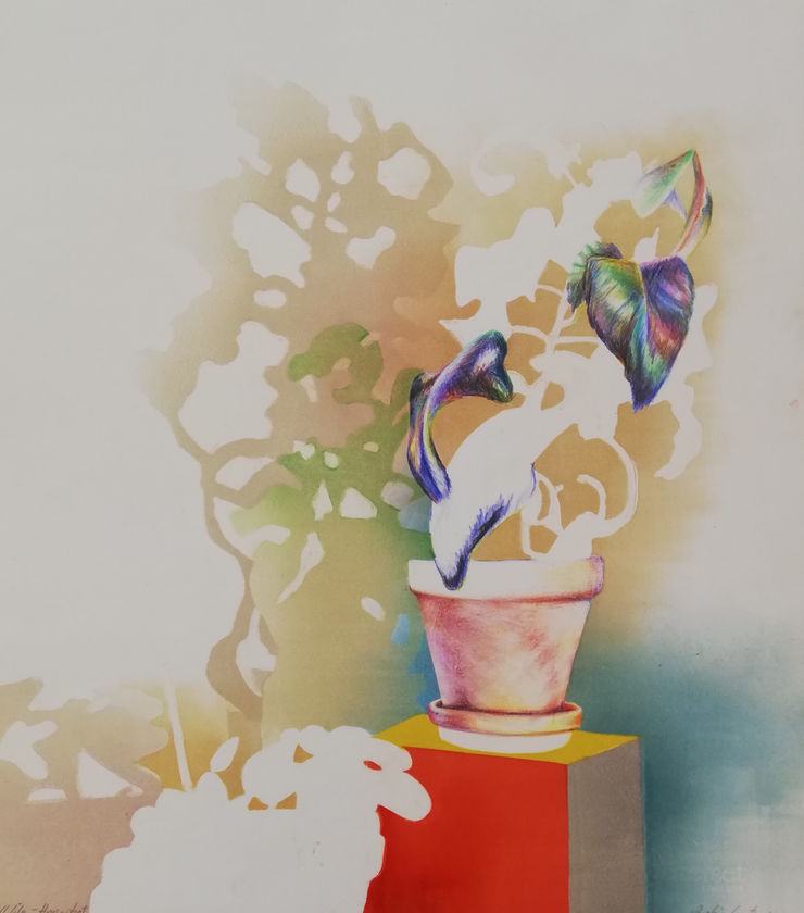 Sophie Layton, Still Life - Houseplant, 2019