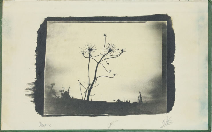 Wayne Foskett, Rainham Marshes, Essex I