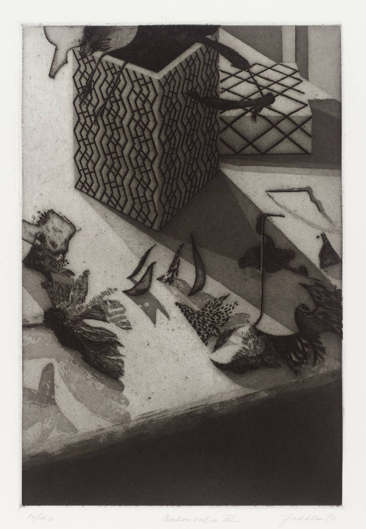 Bill Jacklin, Anemones Plate III, 1977