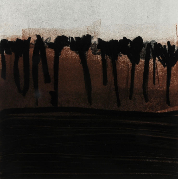 Nigel Swift, Bushland, 2019