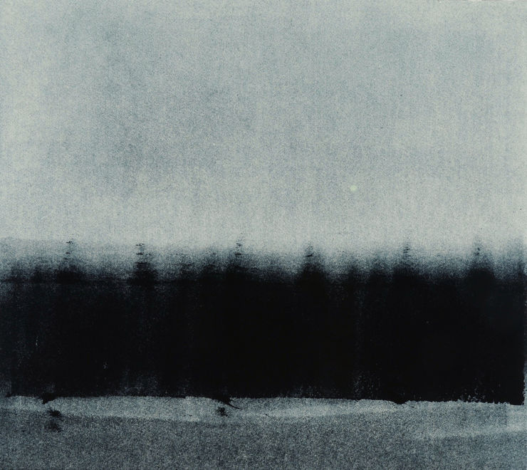 Nigel Swift Forest, 2021