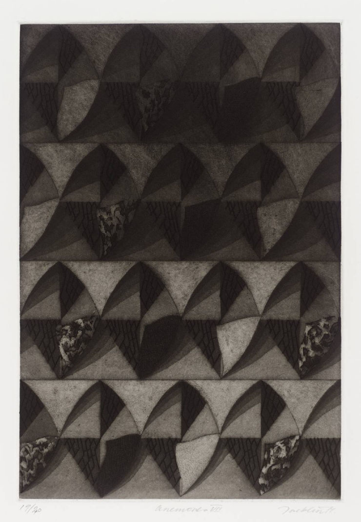 Bill Jacklin, Anemones Plate VII, 1977
