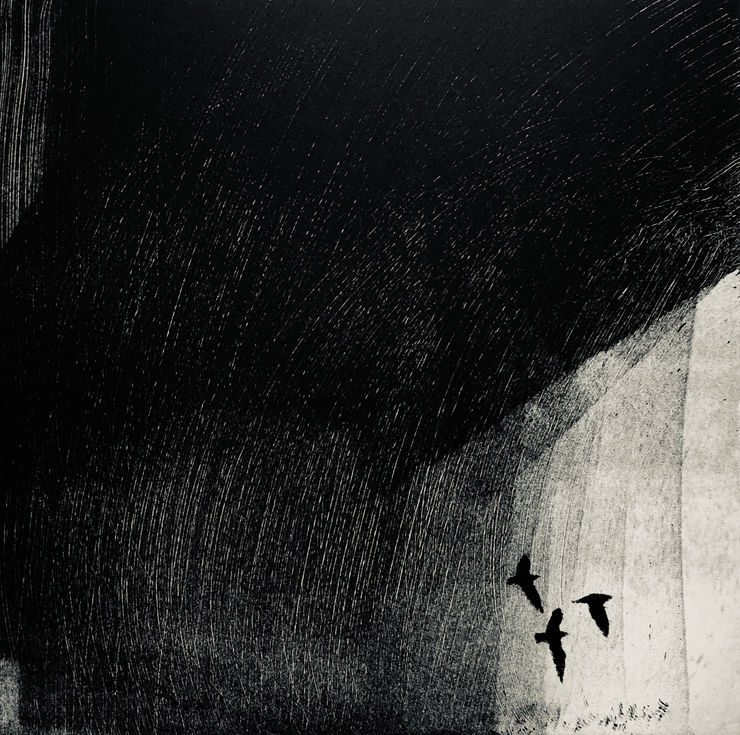 Nigel Swift Birds, 2021