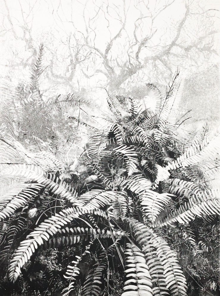 Fiona Fouhy Oracular, 2024