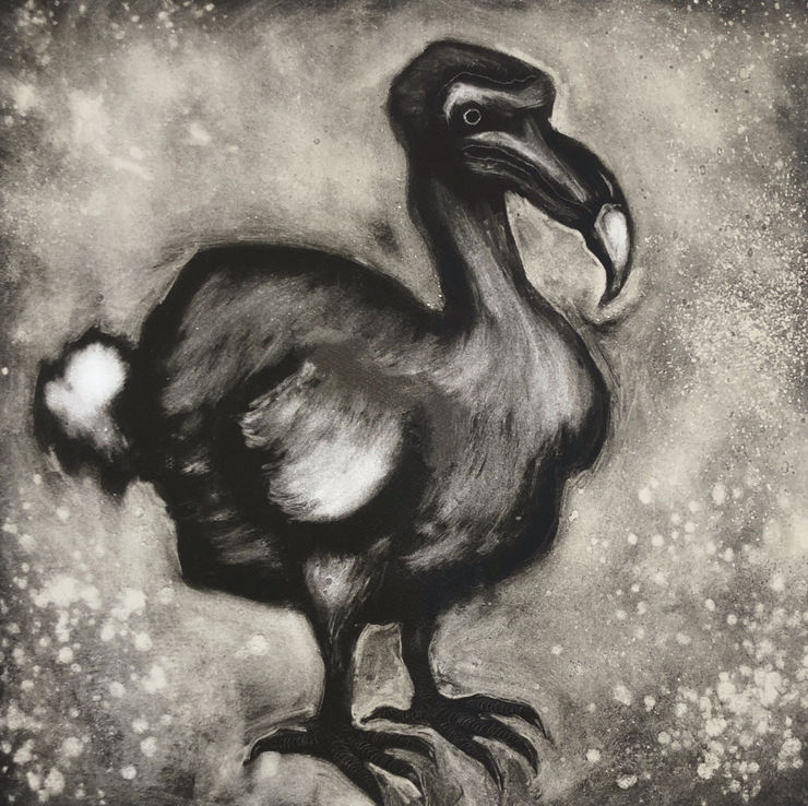 Mychael Barratt, Dodo, 2023