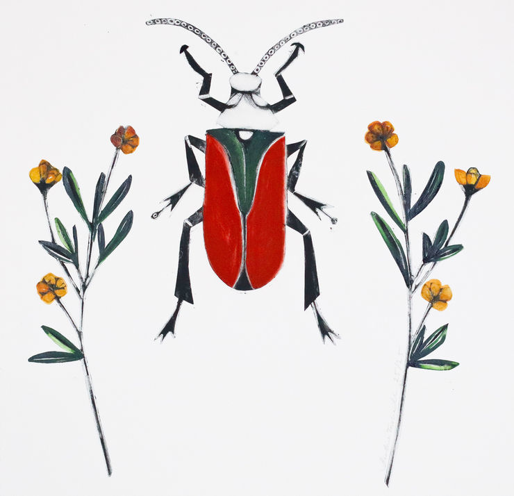 Beatrice Forshall, Scarlet Malachite Beetle