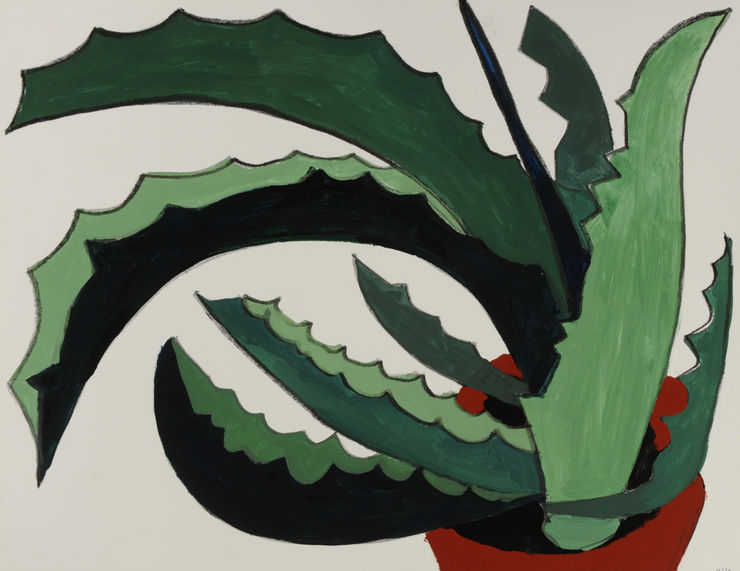 Nigel Swift Untitled 133 (Aloe Vera), 2020