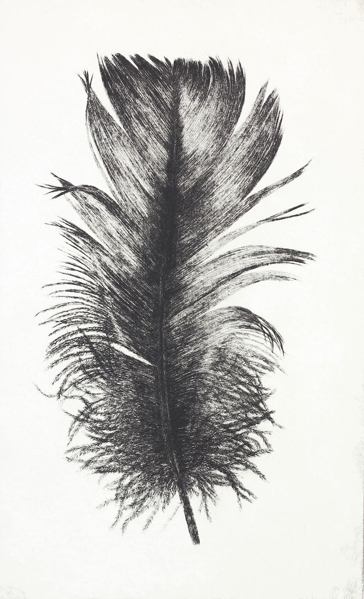 Dulwich College Secret Bid Auction 2024, LOT 134: John Douglas - Swan Feather, 2020