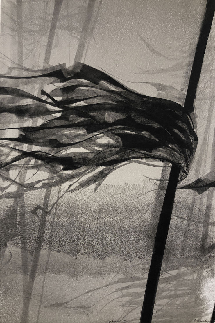 Artist Showcase: Maite Cascón, Fiona Fouhy, Eleanor May Watson