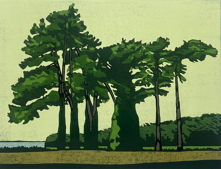 Paul Hogg | Studio Showcase