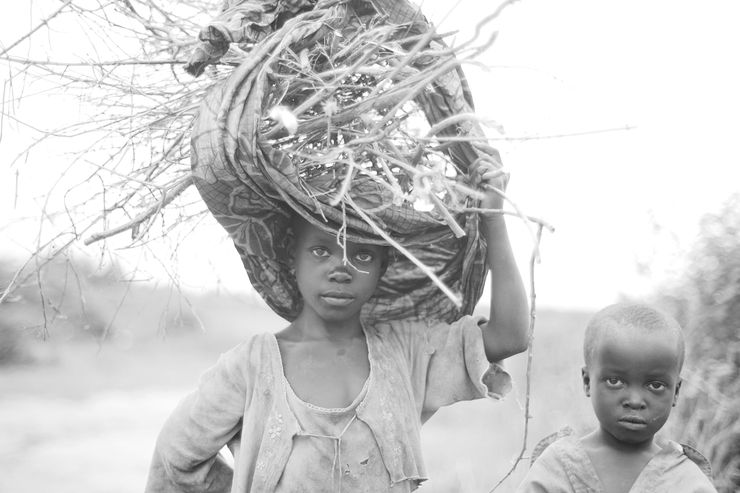 Mario Macilau: The Road Not Taken