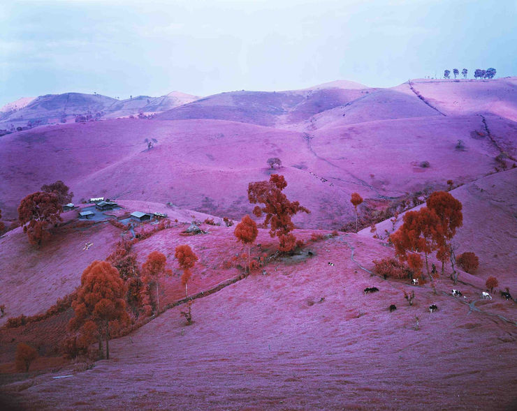 Richard Mosse, Endless Plain of Fortune, 2012