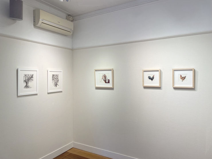 Img 0371 Kopie Groot