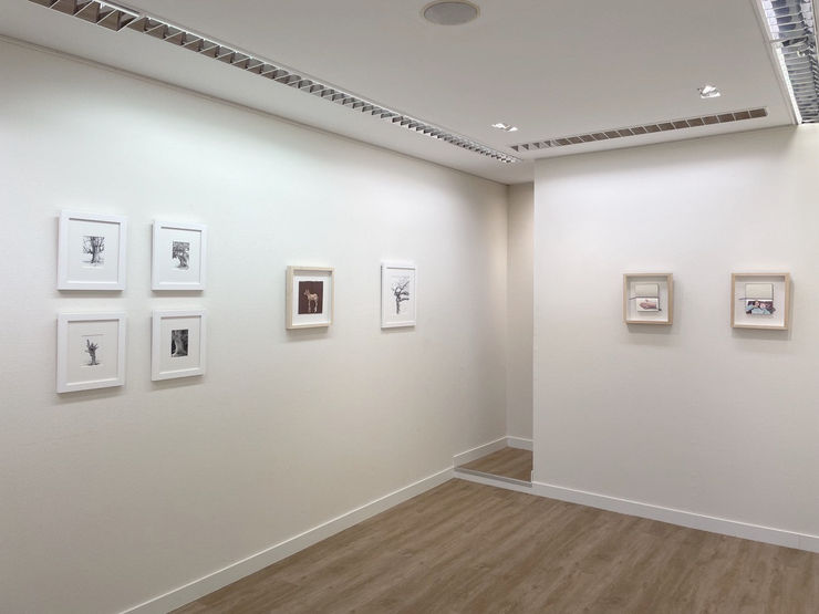 Img 0375 Kopie Groot