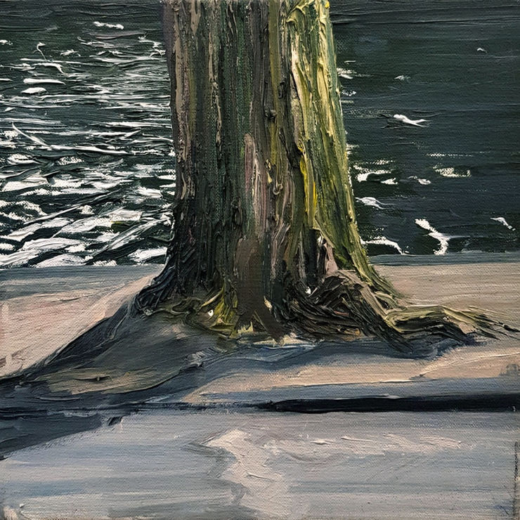 Jim Harris - Boom en Water - 2006 - olieverf op doek - 25 x 25 cm