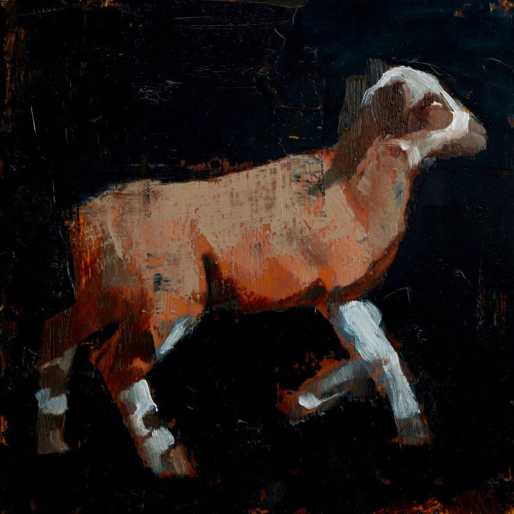 Nicolas Sanchez - Pepper - 2017 - olieverf op paneel - 20 x 20 cm