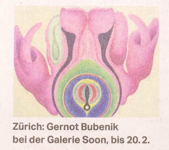Gernot Bubenik bei SOON