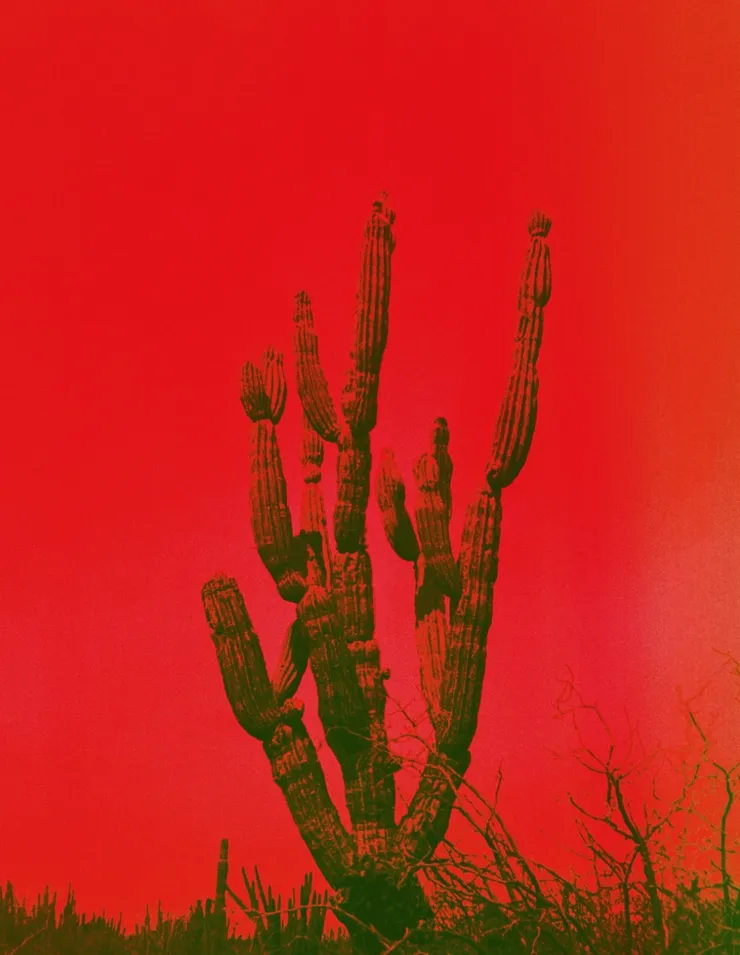 Baja, 2017 Printed on Hahnemühle Rag Paper 34 x 44 cm Edition 1 of 5 plus 2 AP (KB 101)