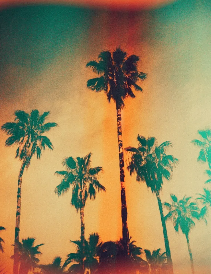 Jalisco, 2017 Printed on Hahnemühle Rag Paper 34 x 44 cm Edition 1 of 5 plus 2 AP (KB 105)