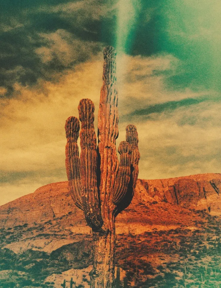 Todos Santos, 2017 Printed on Hahnemühle Rag Paper 34 x 44 cm Edition 1 of 5 plus 2 AP (KB 106)