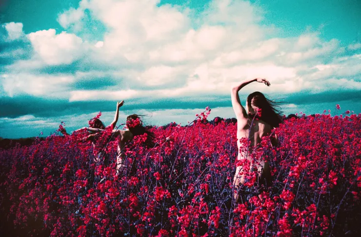 Purple Fields, 2015 Printed on Hahnemühle Rag Paper 75 x 50 cm (Available in smaller sizes) Edition 1 of 5 plus 2 AP (KB 111)