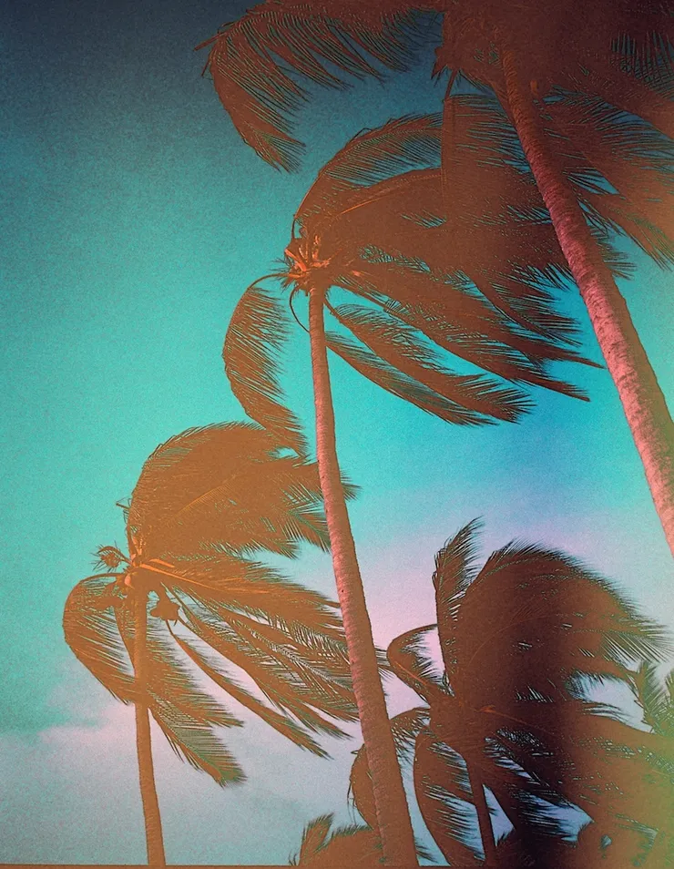 Sayulita, 2017 Printed on Hahnemühle Rag Paper 34 x 44 cm Edition 1 of 5 plus 2 AP