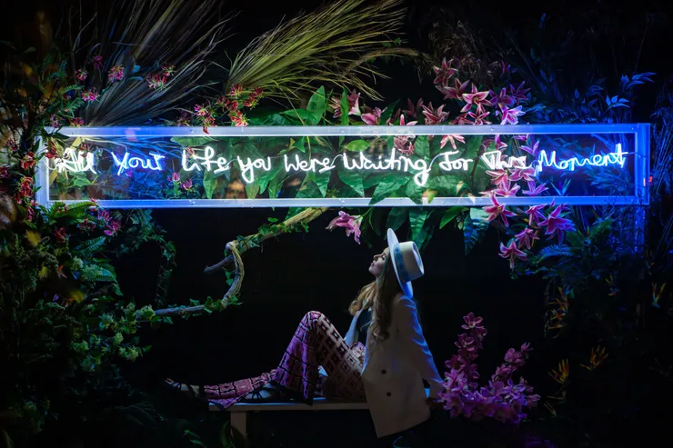 YOUR MOMENT - Royal Avenue