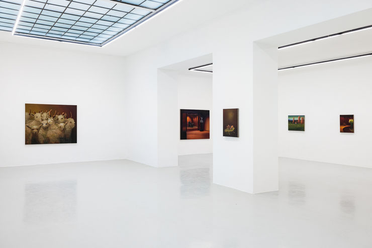 Marc Henry Installation View: Field Trip, Galerie Kandlhofer, Vienna, 2025