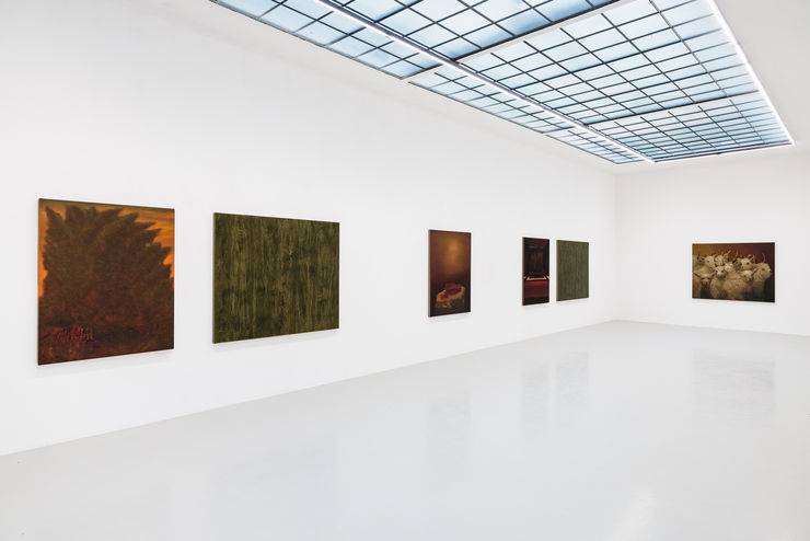 Marc Henry Installation View: Field Trip, Galerie Kandlhofer, Vienna, 2025