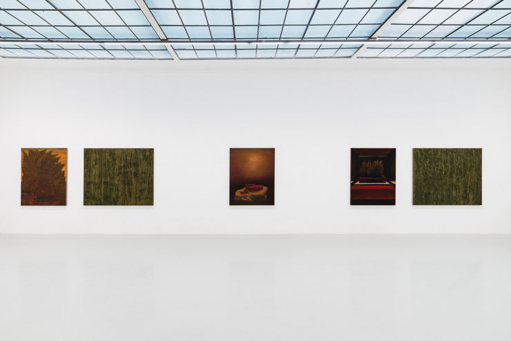 Marc Henry Installation View: Field Trip, Galerie Kandlhofer, Vienna, 2025