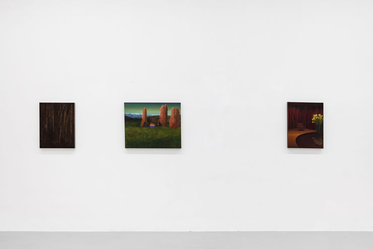 Marc Henry Installation View: Field Trip, Galerie Kandlhofer, Vienna, 2025