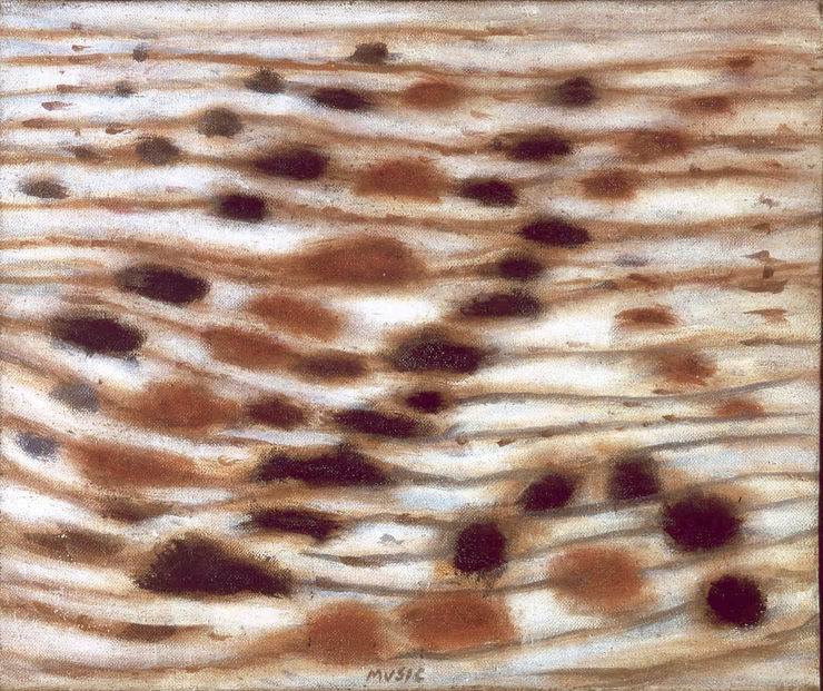 9. Pierres et buissons, 1957, olio su tela, cm 38x46