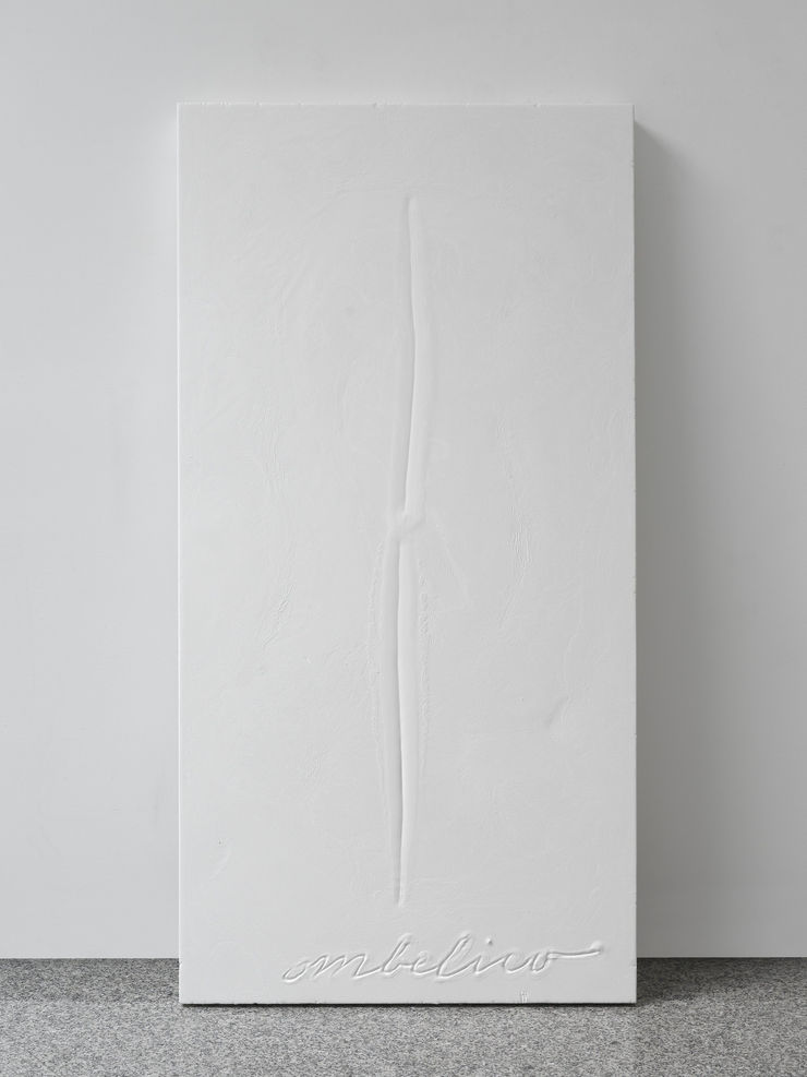 Pagine Intime, 2008, gesso e polistirolo, cm 200x100x10
