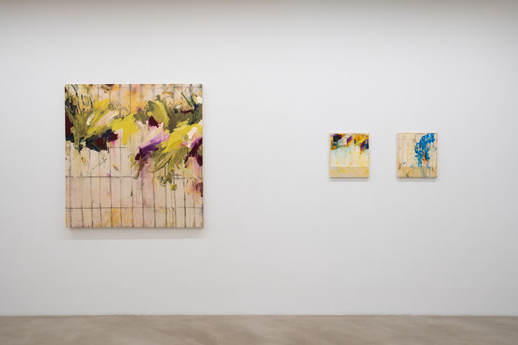 MIKKO PAAKKONEN | MAPS, FIELDS AND FENCES 9.5. - 1.6.2025