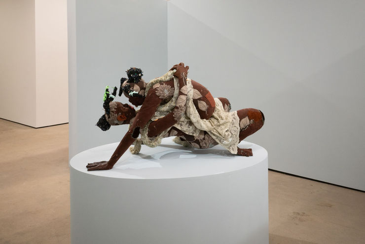 I Dream I Cross The River In One Stride Installation17