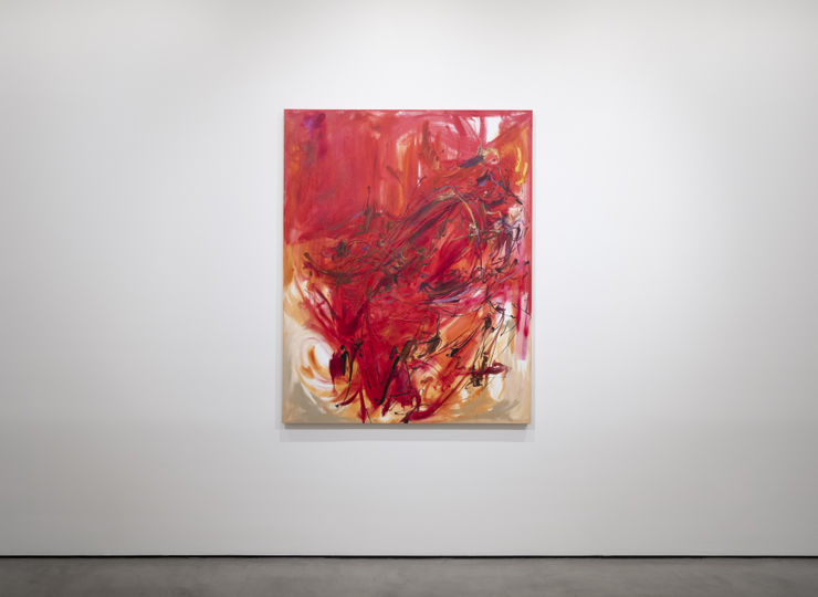 Chronic Conditions 2024 Installation Image Photo By Fabrice Gousset Courtesy Of The Artist And Mariane Ibrahim 20