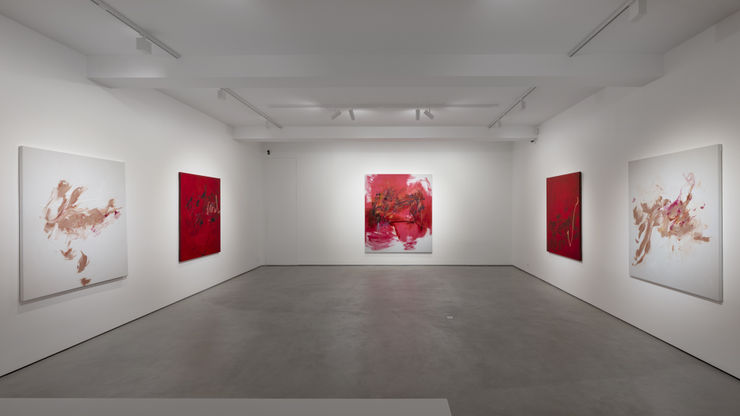 Chronic Conditions 2024 Installation Image Photo By Fabrice Gousset Courtesy Of The Artist And Mariane Ibrahim 22