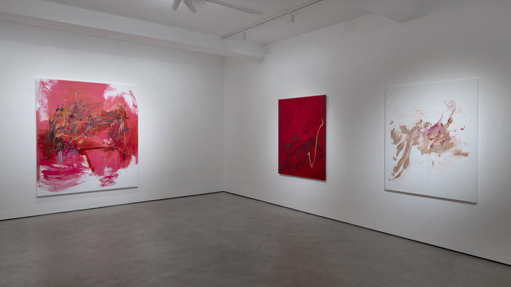 Chronic Conditions 2024 Installation Image Photo By Fabrice Gousset Courtesy Of The Artist And Mariane Ibrahim 24Tif