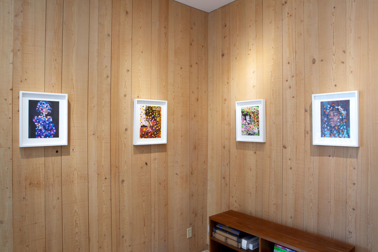 Mg 1512 The Flowers Alex Katz And Michael De Feo At Craven Contemporary 2500 Pixels Wide