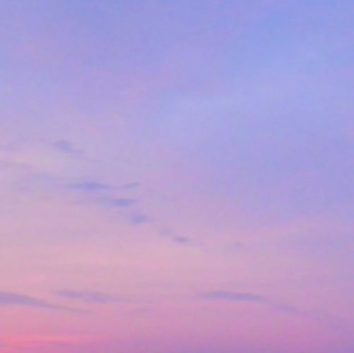 Miya Ando Morning Paris, 2014